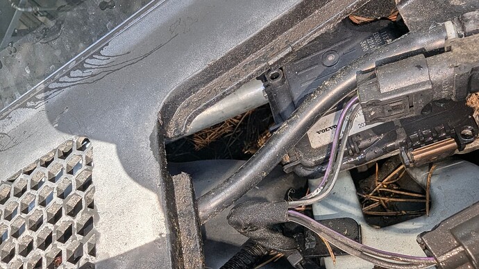 PXL_20251122_115816106