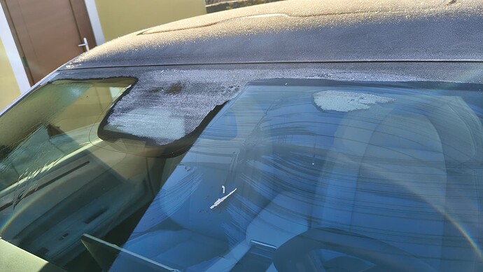 IMG_20251128_092421590_HDR