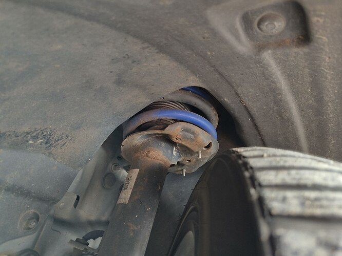 photo_2025-11-08_18-02-34