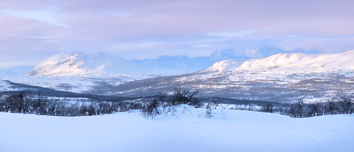 PXL_20260211_143618478.RAW-02.ORIGINAL (1)